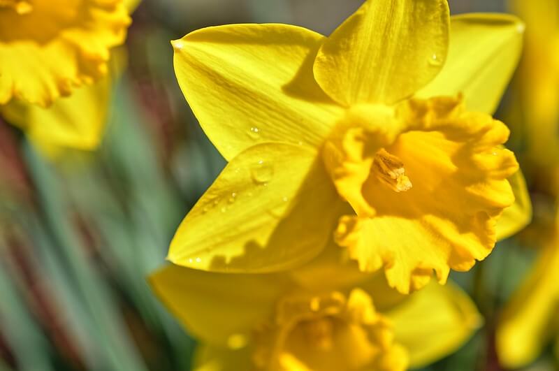 Un nouveau mois, une nouvelle baisse des prix pour le gaz naturel et l'électricité